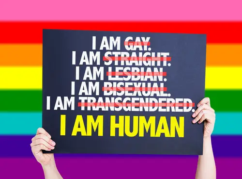 Sexual orientation